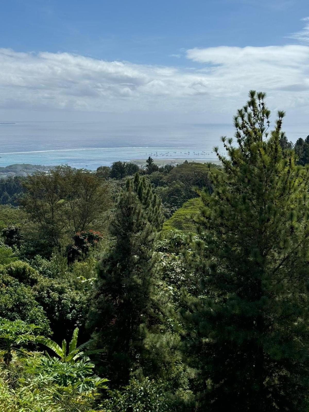 Studio Confort Avec Piscine Et Vue Tahiti Punaauia Luaran gambar