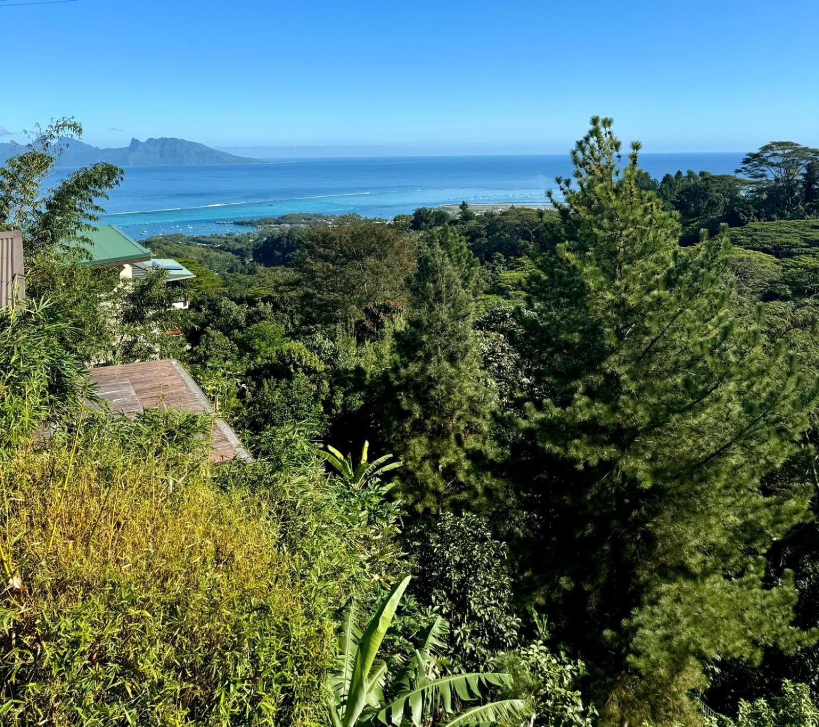 Studio Confort Avec Piscine Et Vue Tahiti Punaauia Luaran gambar